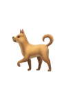 nft icon