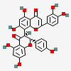 nft icon