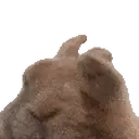 nft icon